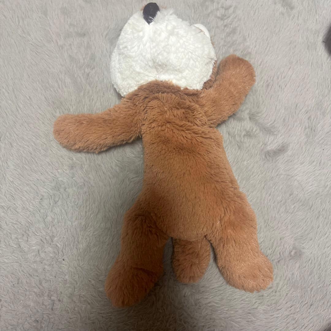 ニトリ くたくたぬいぐるみ キツネ みやかわくん 宮川大聖 くうたん