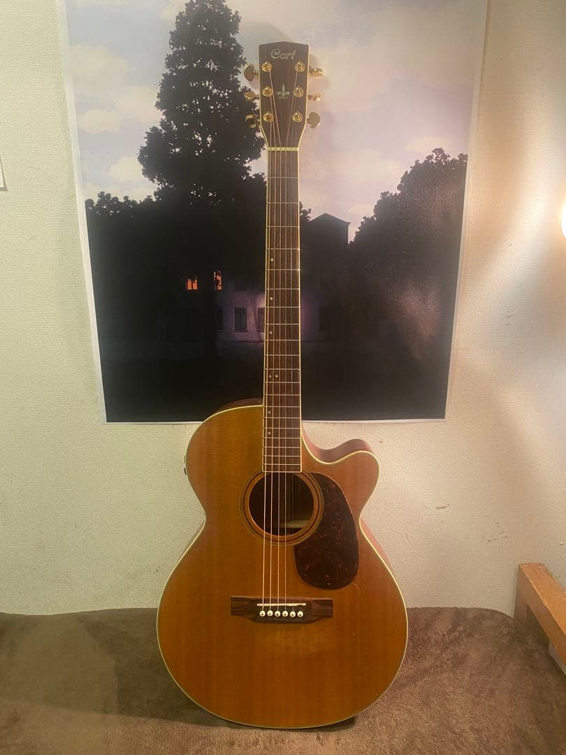 Cort SF-5X エレアコ トップ単板 Cort SF-5X エレアコ トップ単板 - メルカリ
