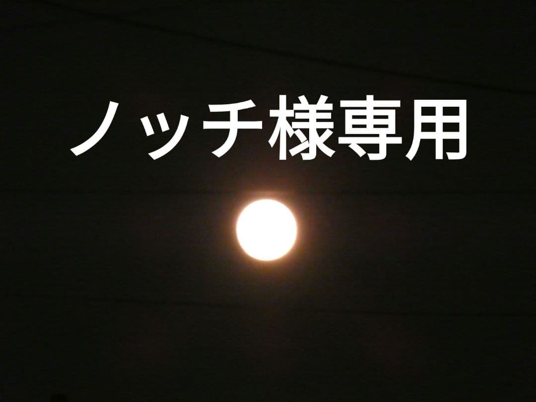 ノッチ ノルケイン(NORQAIN) インディペンデンス JP ブラック スクラッチ