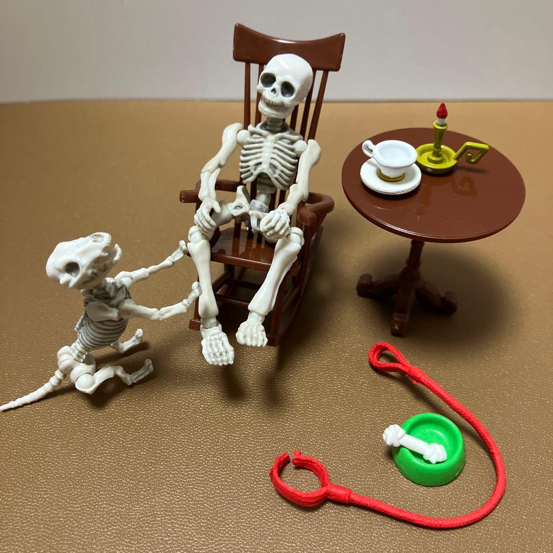 約6箱セット】リーメント ポーズスケルトン ヒト イヌ アクセサリー