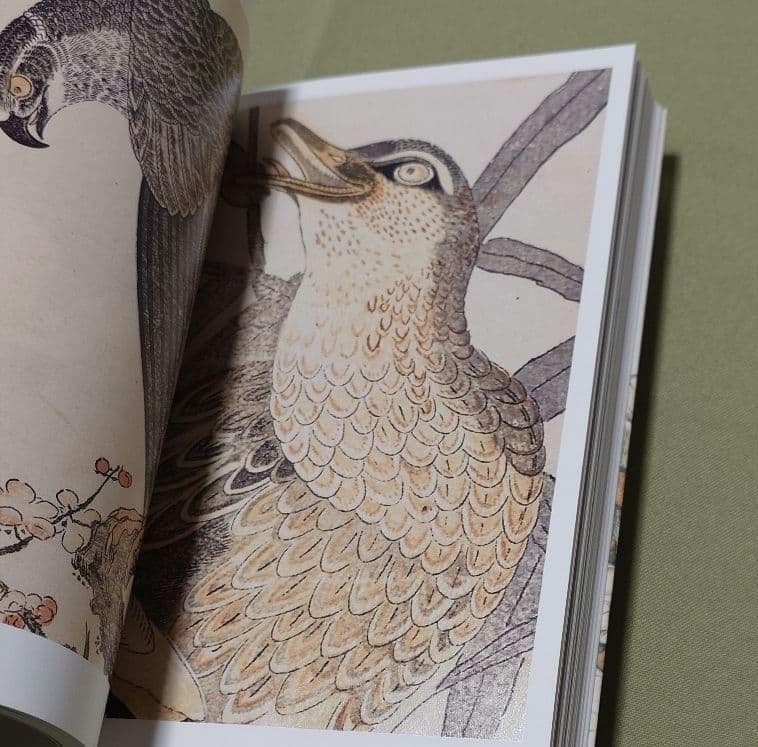 歌麿『画本虫撰』『百千鳥狂歌合』『潮干のつと』 - メルカリ