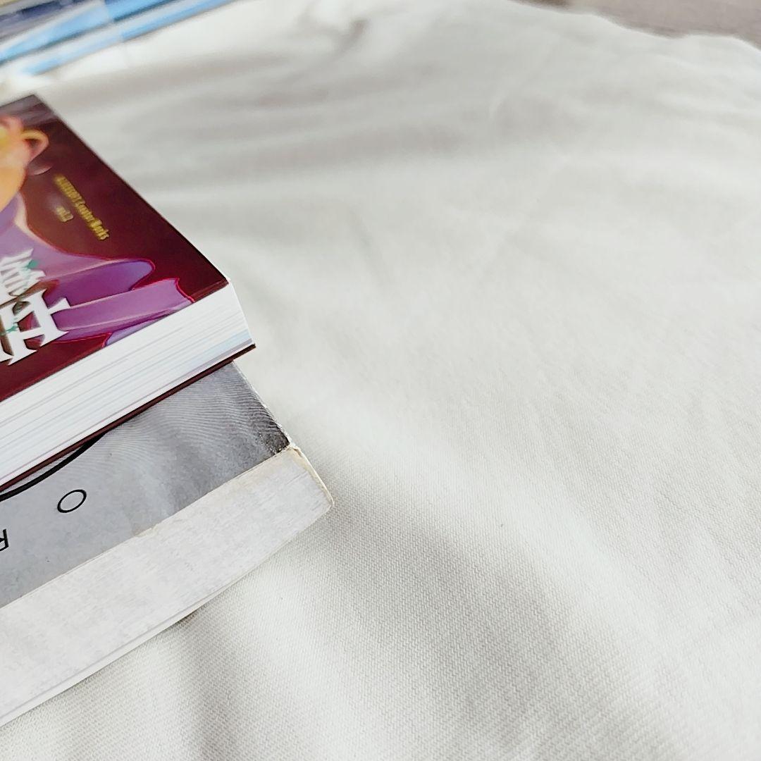 織音計画限定版 ALICESOFT 希少品 画集 アートワーク - メルカリ