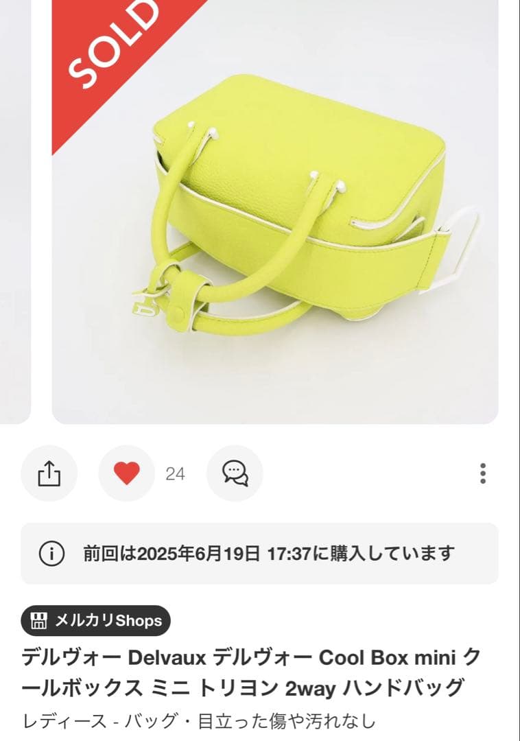 お値引き可 Delvauxクールボックス ミニ トリヨン 2way ハンドバッグ