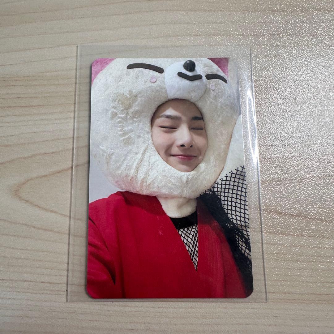 straykids スキズ アイエン skzoo トレカ フォクシニー - メルカリ