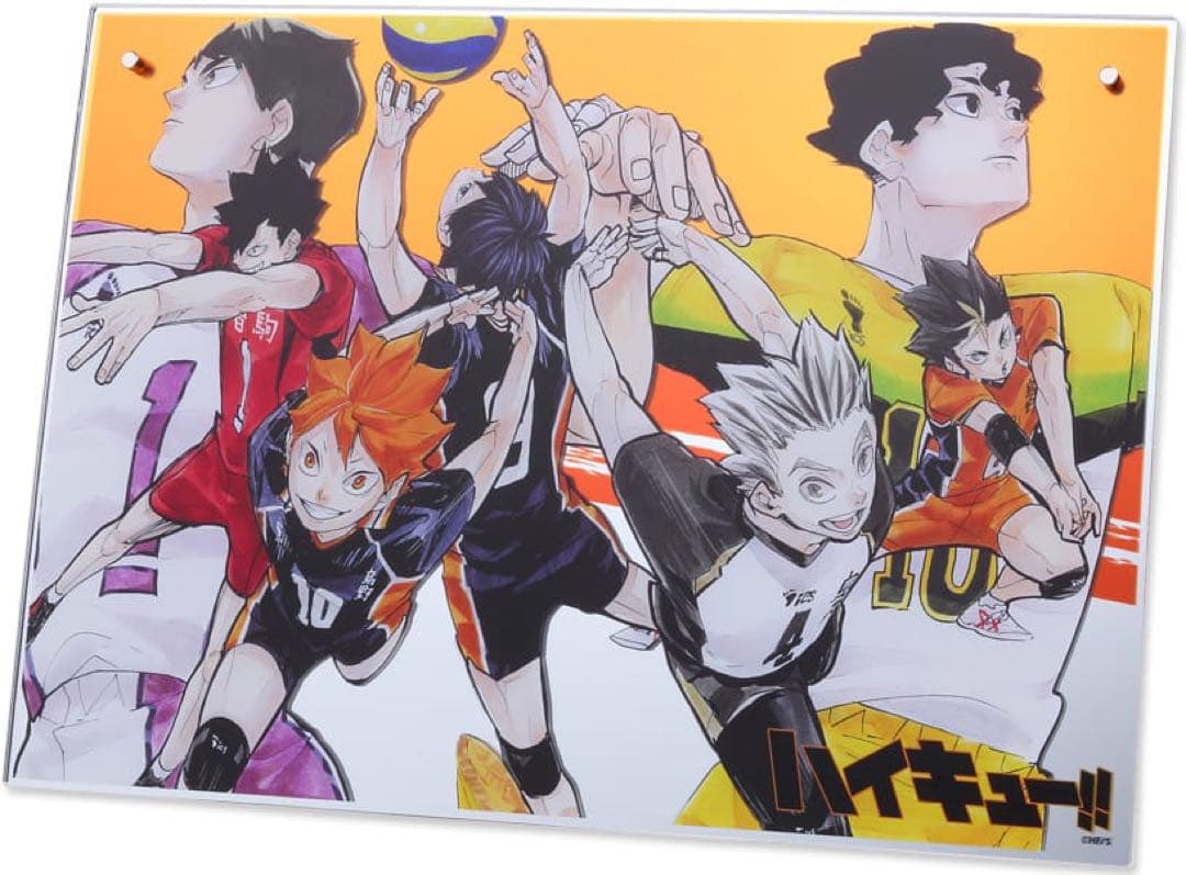 ハイキュー !! 大判 アクリルミラーパネル 鏡 受注生産 2020 グッズ