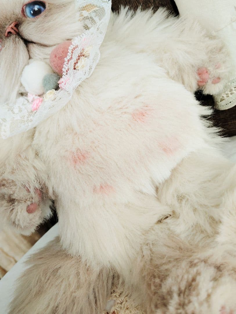 おふぅちゃんオーダー❤ライラックポイント♡子猫ちゃん♡アートドール