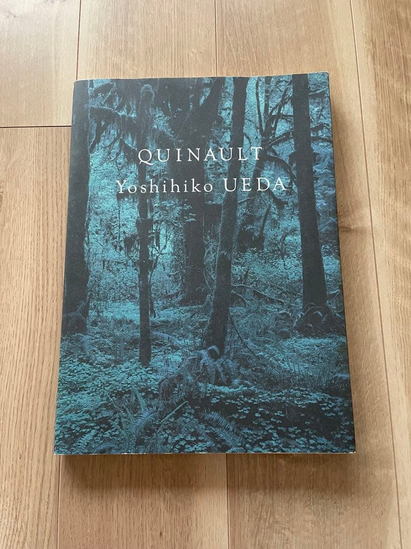 QUINAULT 上田義彦写真集 初版 Amazon.co.jp: クゥィノルト: 上田義彦写真集 : 上田 義彦: Japanese Books