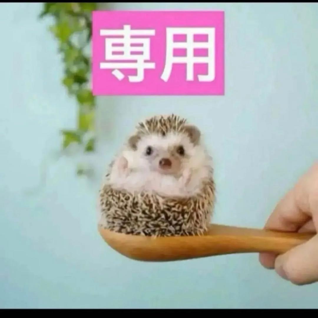 2点、BB01、BB00 BBU ZXRAN V9200 Telecom Device - New 5G Mobile for Base Station