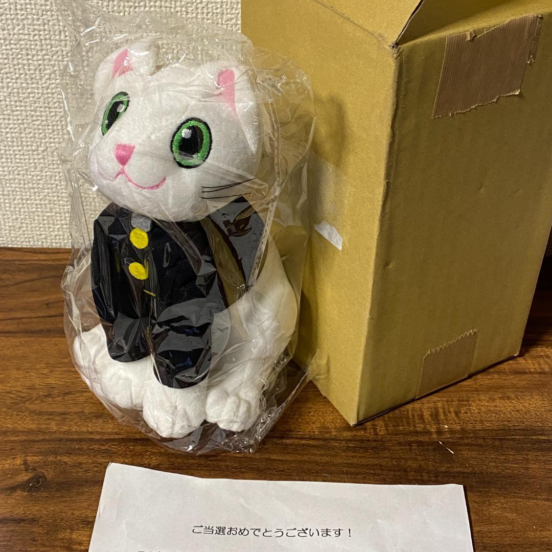 100体限定】しらたまくん 連載100回突破記念 特製ぬいぐるみ 当選通知