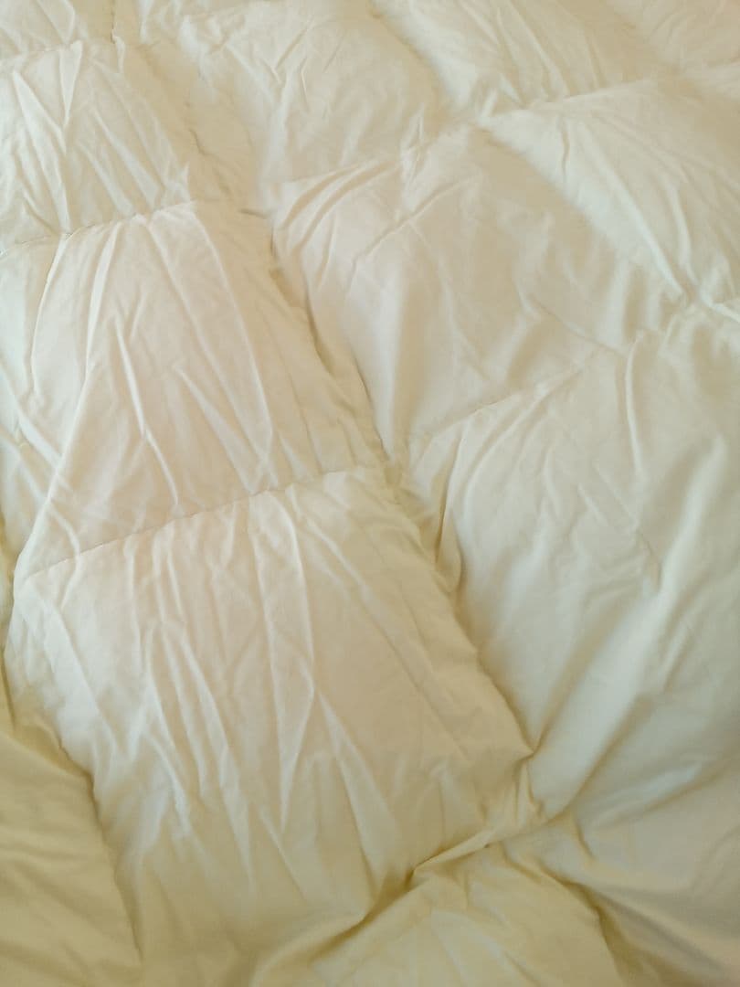 【訳あり特価】羽毛布団　シングル　綿100％　1.2kg ダウン93％　日本製