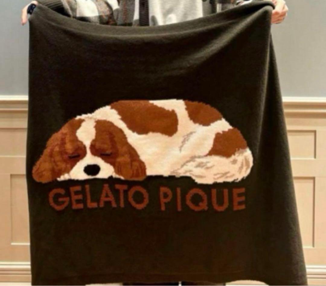 ジェラートピケ ジャガードブランケット キャバリアSLEEPING DOG