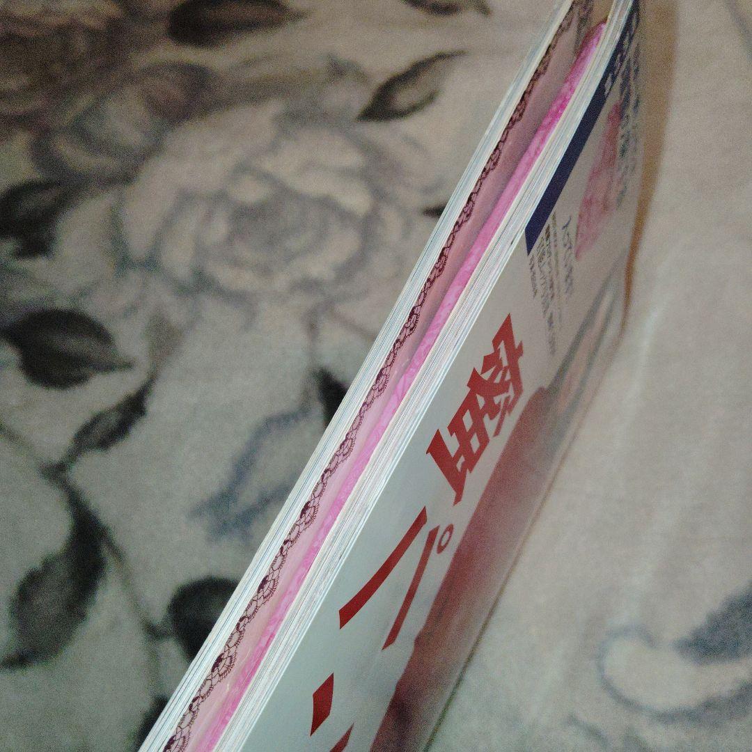 壇蜜　蜜パンティ　付録未開封