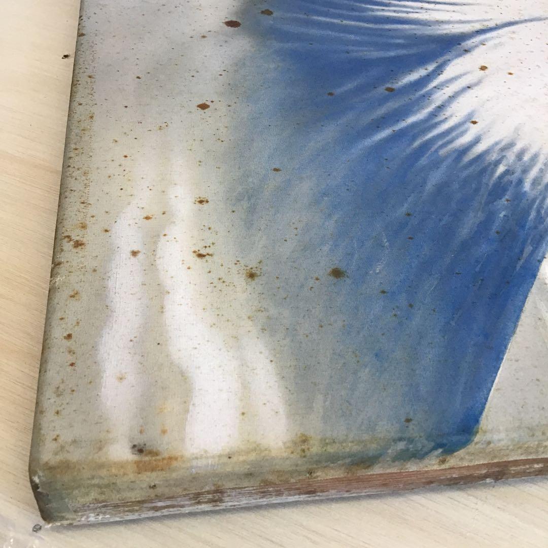 絵画 日本画 「富士山の図」 春水作 配送用箱 S5JFE - メルカリ