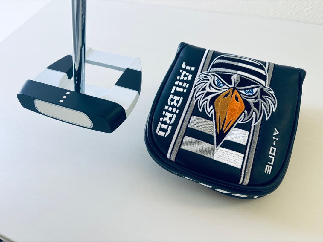 室内試打のみ】ゼロトルクパター スクエア2スクエア ジェイルバード 34