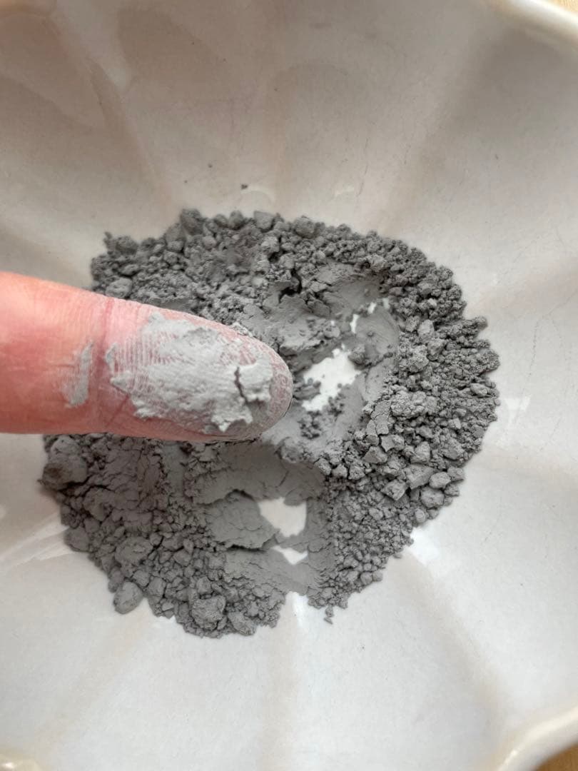 24時間以内発送】粉タイプ 古代ソマチッド 100g×2袋 株式会社ソマチ