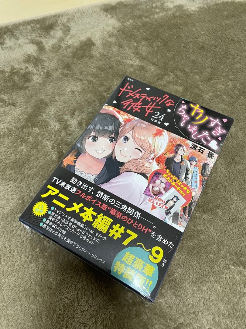 未開封　ドメスティックな彼女【特装版】セット　21〜25※値下げしました