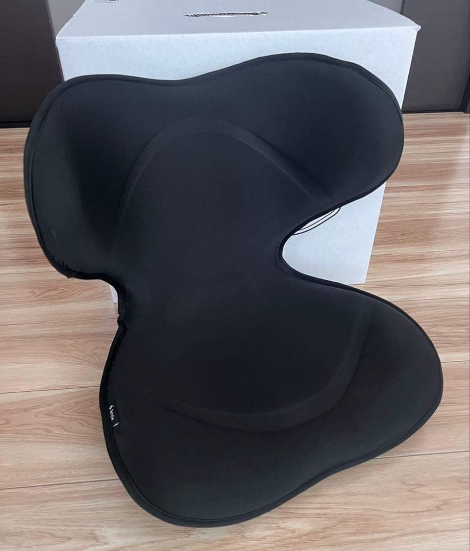 美品　MTG スタイルスマート Style SMART ブラック Style（スタイル） 姿勢 サポートチェア MTG スタイルスマート Style