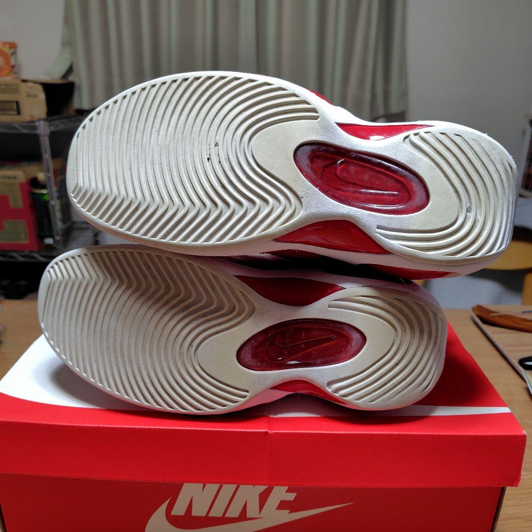 週末値下げ♪　エアズームフライト 95 28.5cm