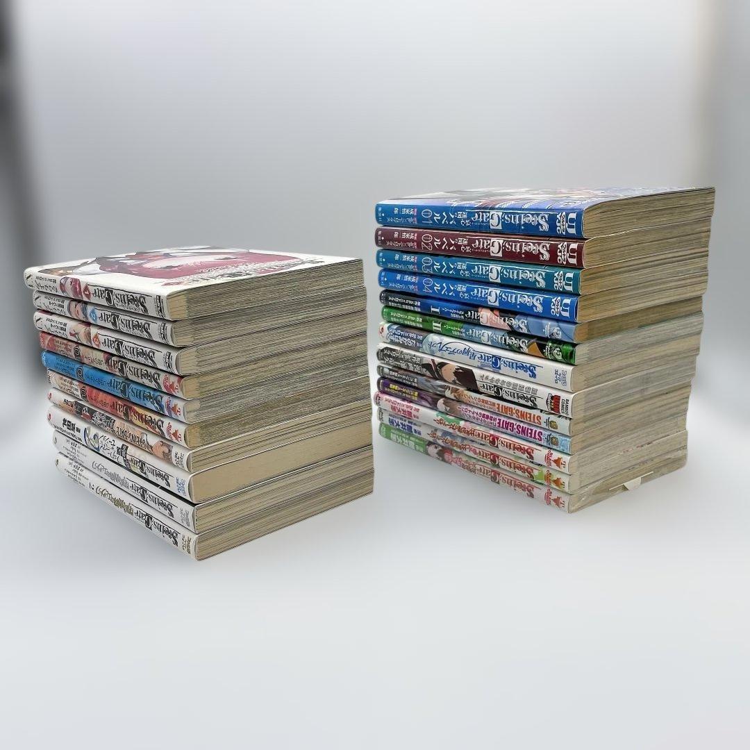 STEINS;GATE 本編+4大外伝 完結セット 全23冊【シュタゲ】 - メルカリ