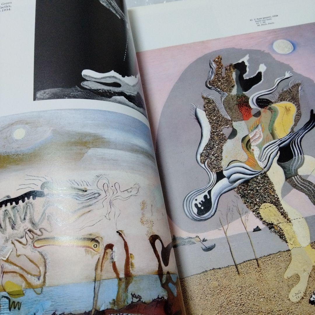 ダリ回顧展 図録 1980年 ポンピドーセンター 近代美術館 大型本 布装
