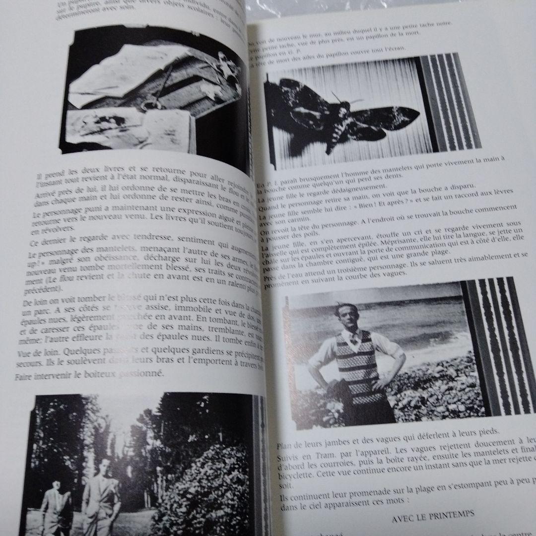 ダリ回顧展 図録 1980年 ポンピドーセンター 近代美術館 大型本 布装