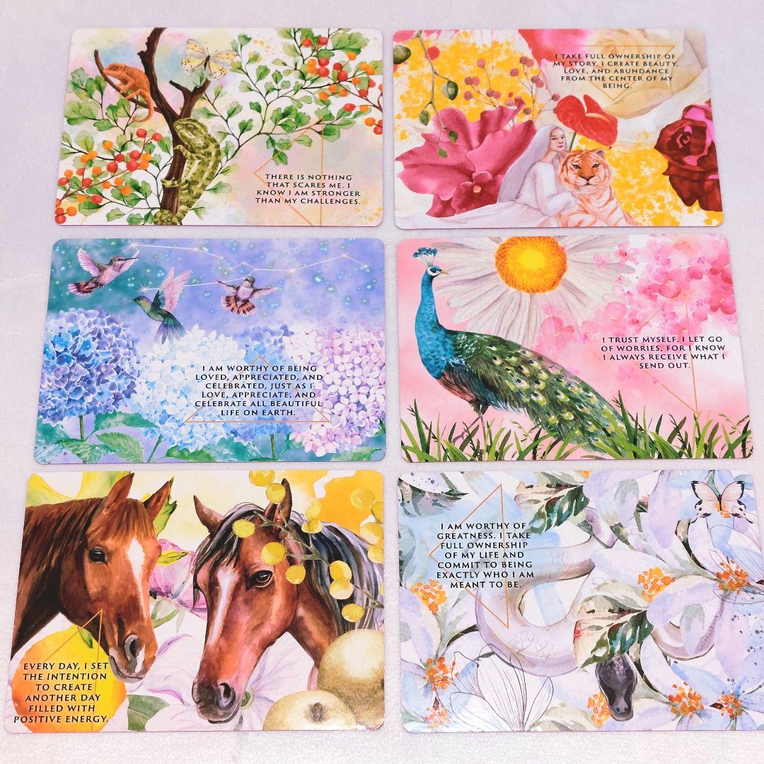 新品 ピンクエッジ♡アニマルオーラ錬金術 オラクルカード 全47枚 訳