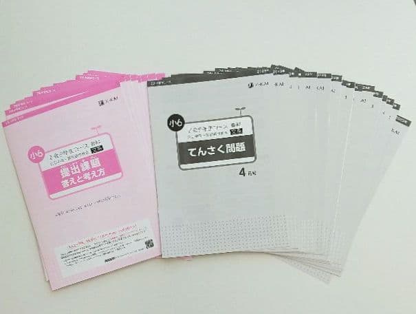 Z会】エブリスタディ 6年生 公立中高一貫適性検査・添削問題 1年分