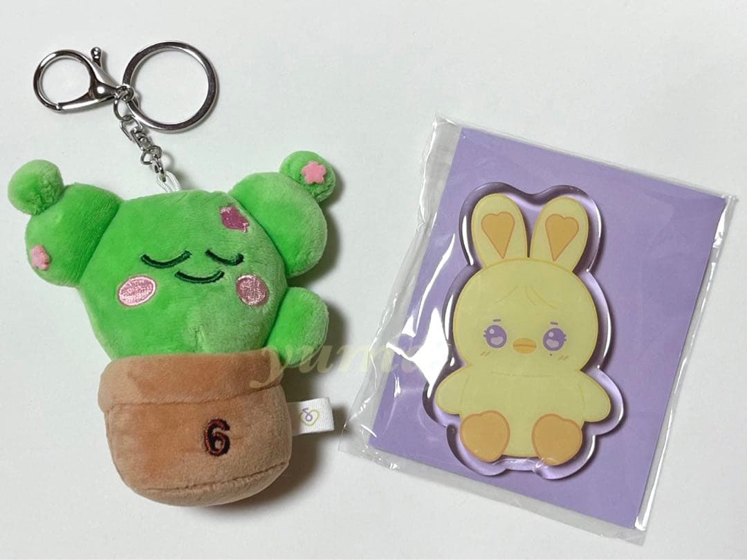 IU 아이유　ファンコンサート　特典　非売品　グッズ　サボテン 2025 i-dle first japan tour [ 逢い-dle ]」オフィシャルグッズ受注