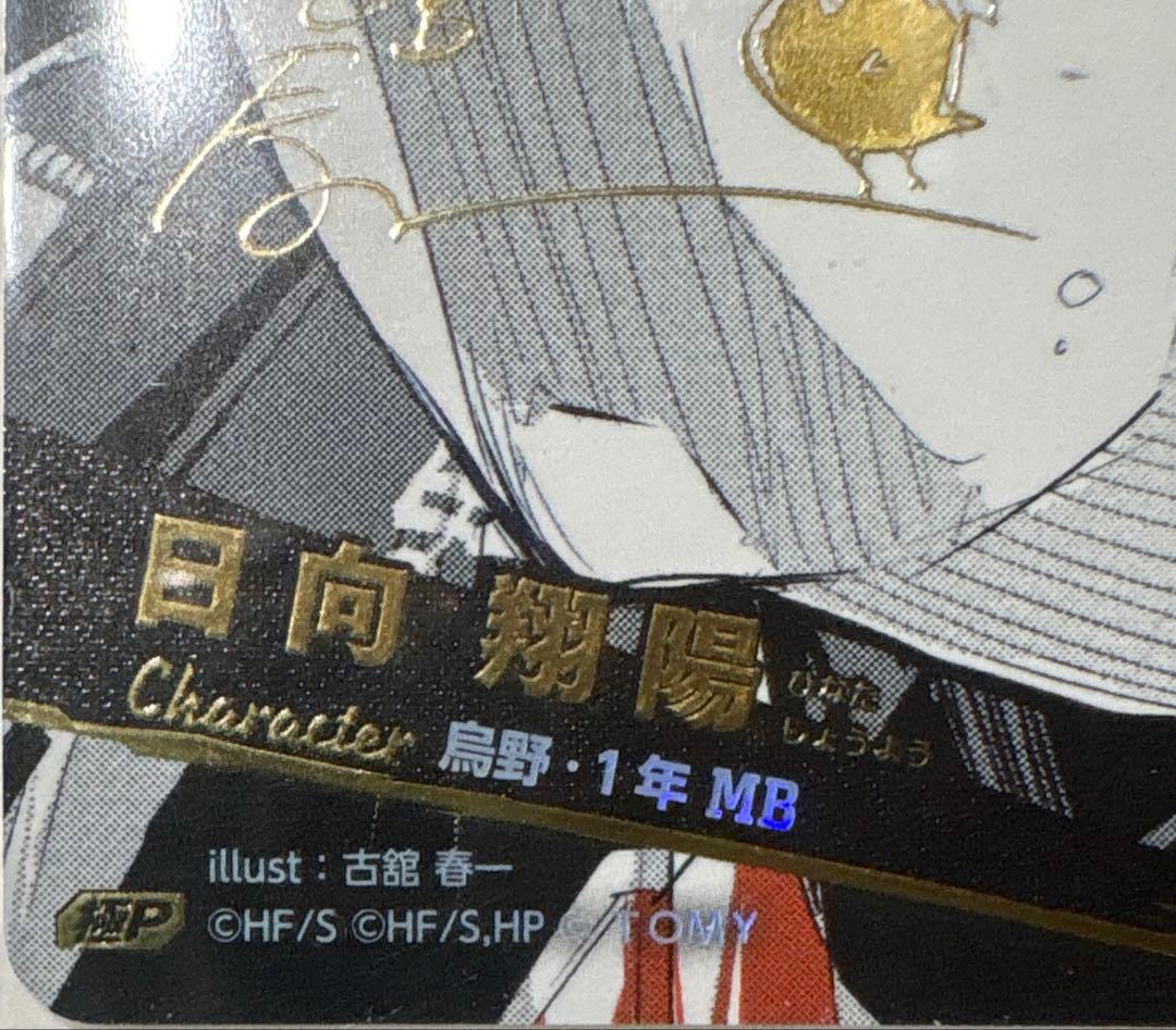 バボカ　日向　翔陽　極P　HV-P01-004