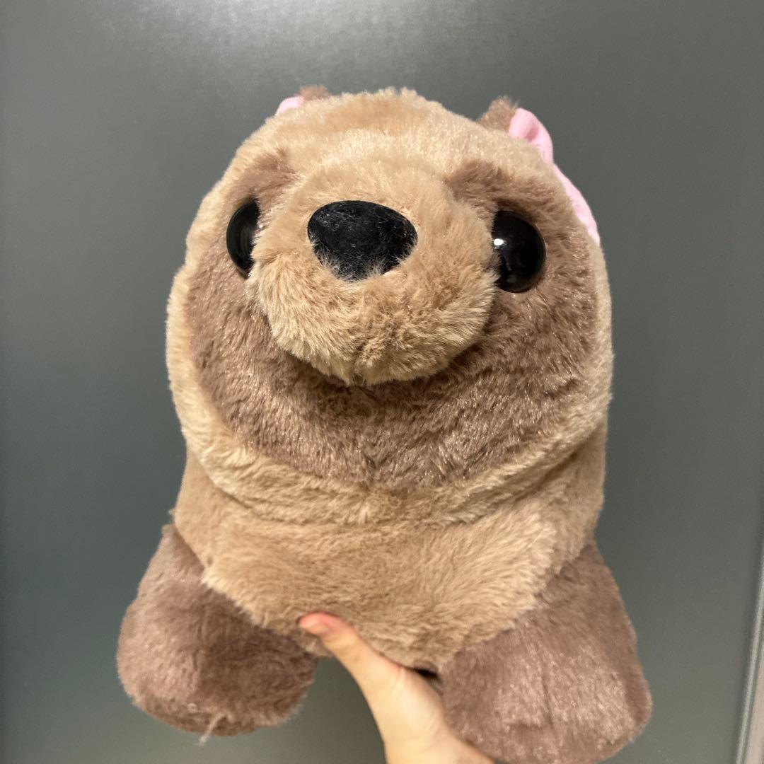 最終値下げ たぬきのぽんぽん BIGぬいぐるみ タヌキ 狸 - メルカリ