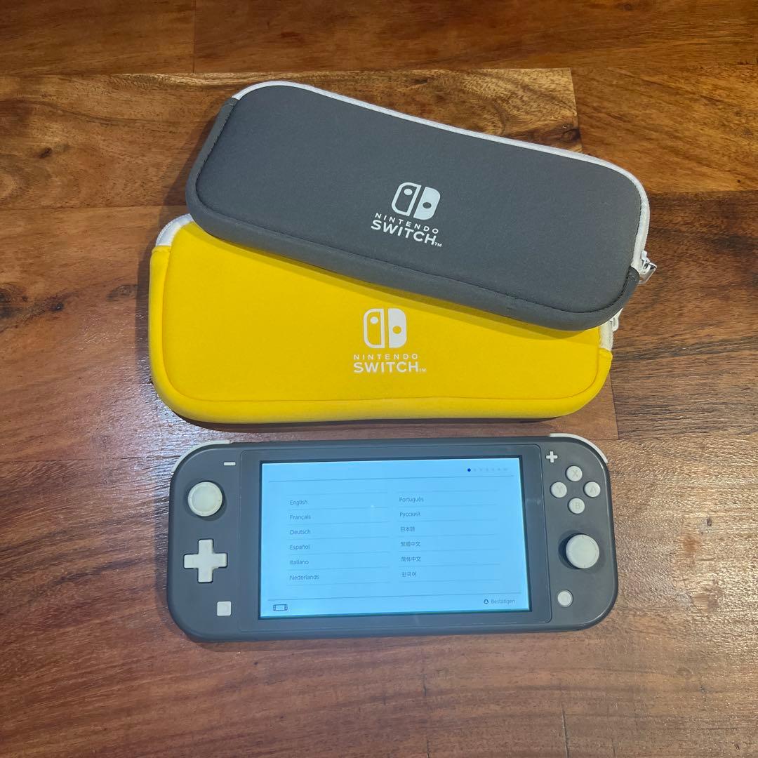 Switch Lite グレー 本体 (訳ありジャンク品)専用ケース付き Switchライト本体のみ グレー 液晶難あり 訳ありジャンク品 - メルカリ