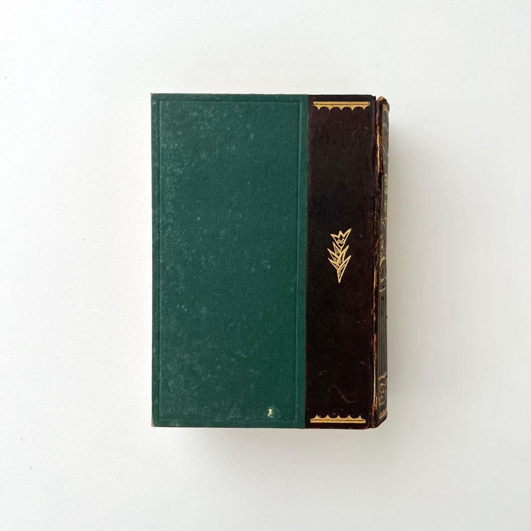 日本植物図鑑 牧野富太郎 北隆館 1925年初版 日本植物図鑑 牧野富太郎