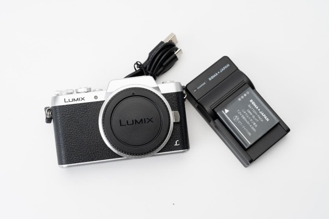 防湿庫保管 パナソニック LUMIX DMC-GF7 ボディ 保護フィルム 防湿庫保管 パナソニック LUMIX DMC-GF7 ボディ 保護フィルム 防湿庫