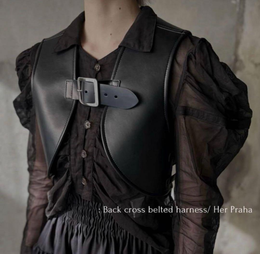 litmus リトマス Her Praha レザーハーネス - メルカリ