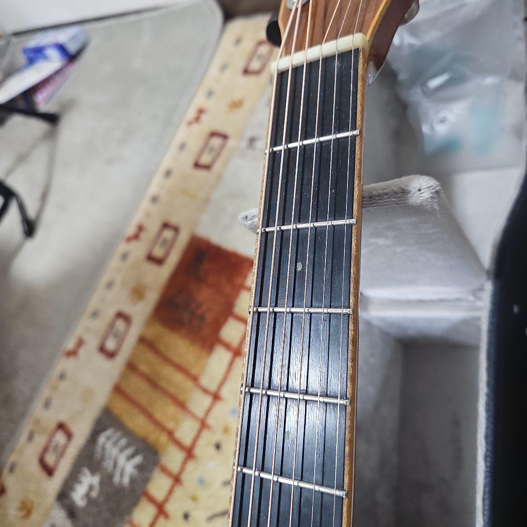 Court.MR.AS4エレアコ総単板！ 純正ハードケース付き。 - メルカリ