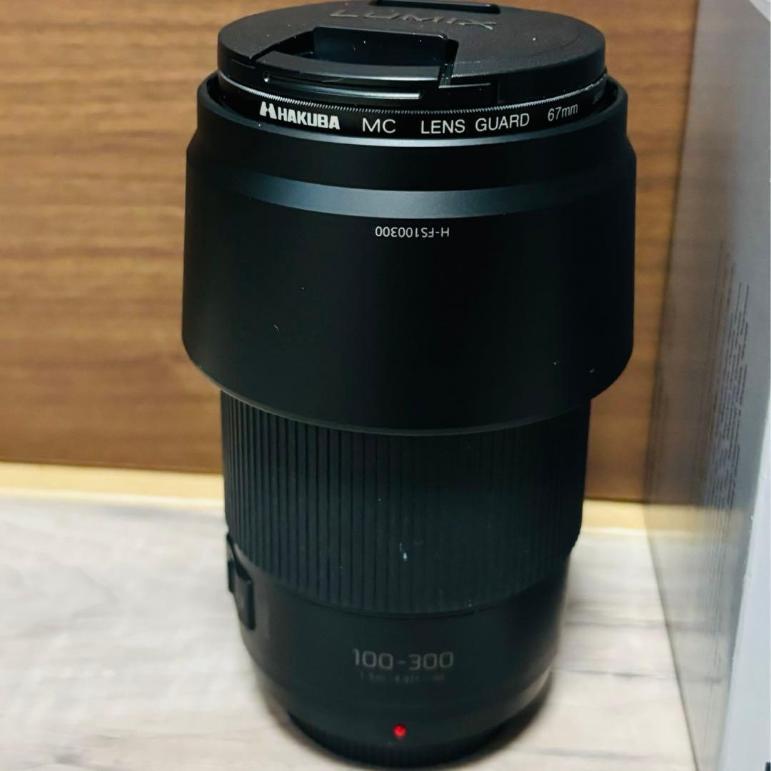 LUMIX G VARIO 100-300mm / F4.0-5.6 Ⅱ