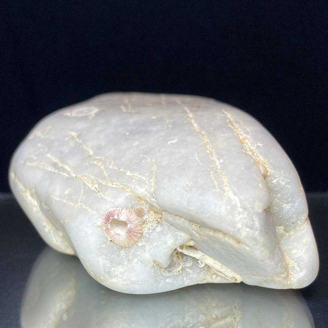 【専用品】糸魚川翡翠　海中白翡翠　海石　原石　173.3ｇ