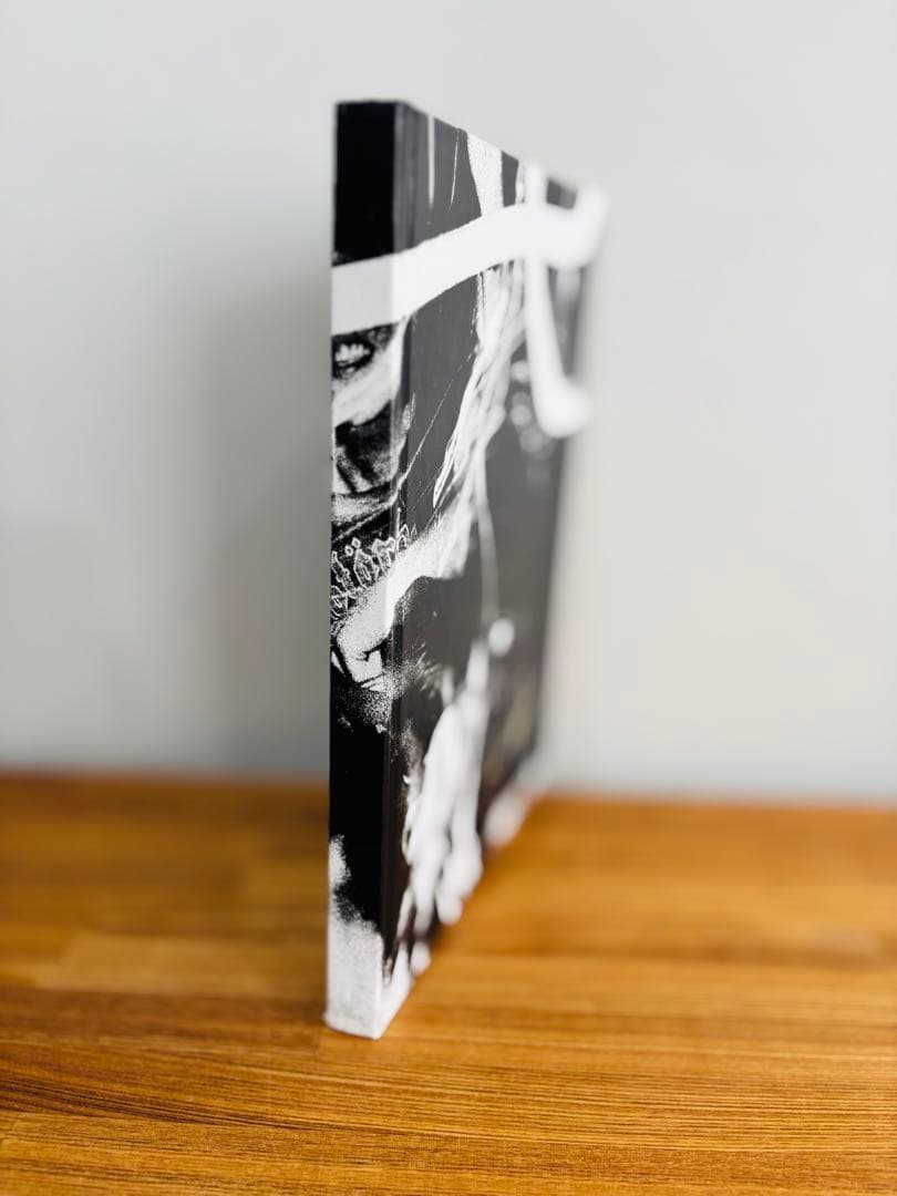 touch me i'm sick 写真集 チャールスピーターソン ニルヴァーナ