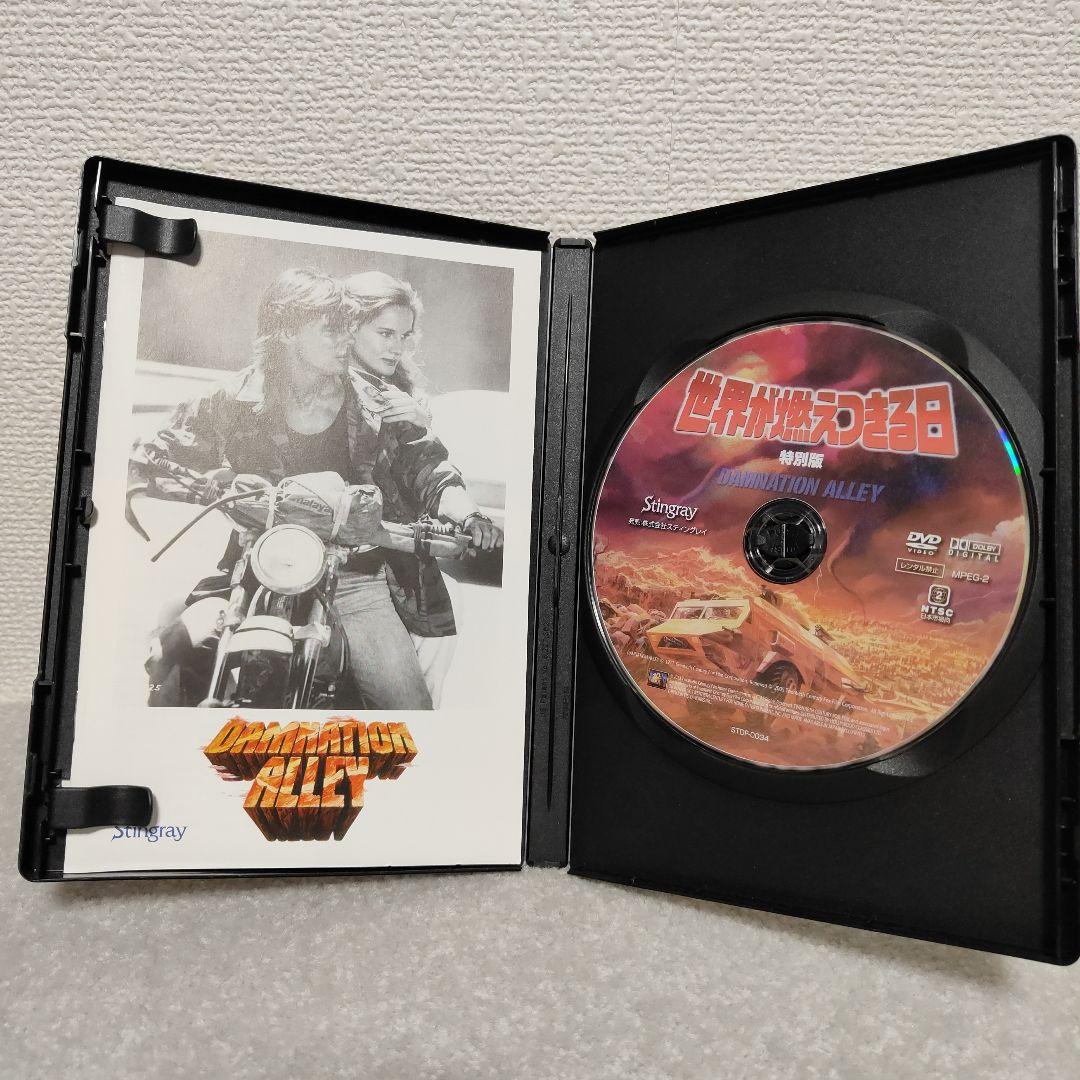 世界が燃えつきる日　SURVIVAL RUN 特別版 DVD