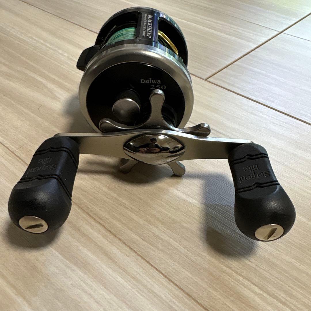 ダイワ ミリオネア ブラックシープ250 Daiwa BLACKSHEEP250 - メルカリ