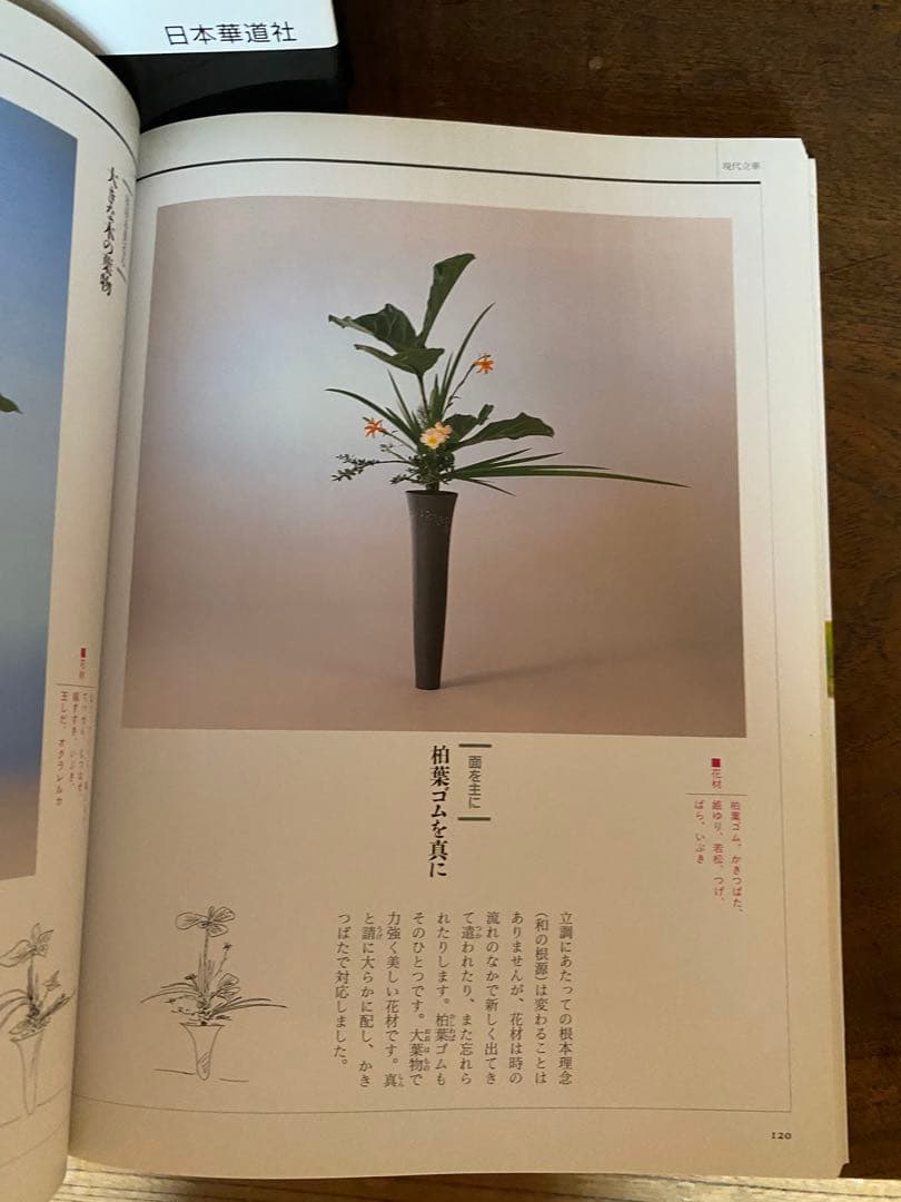 池坊 華道 生け花本 中村宗雄の立華 柴田英雄立華作品集 - メルカリ