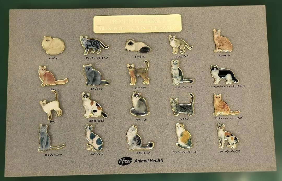 ファイザー社 世界の猫ピンバッチ 額入り セット - メルカリ