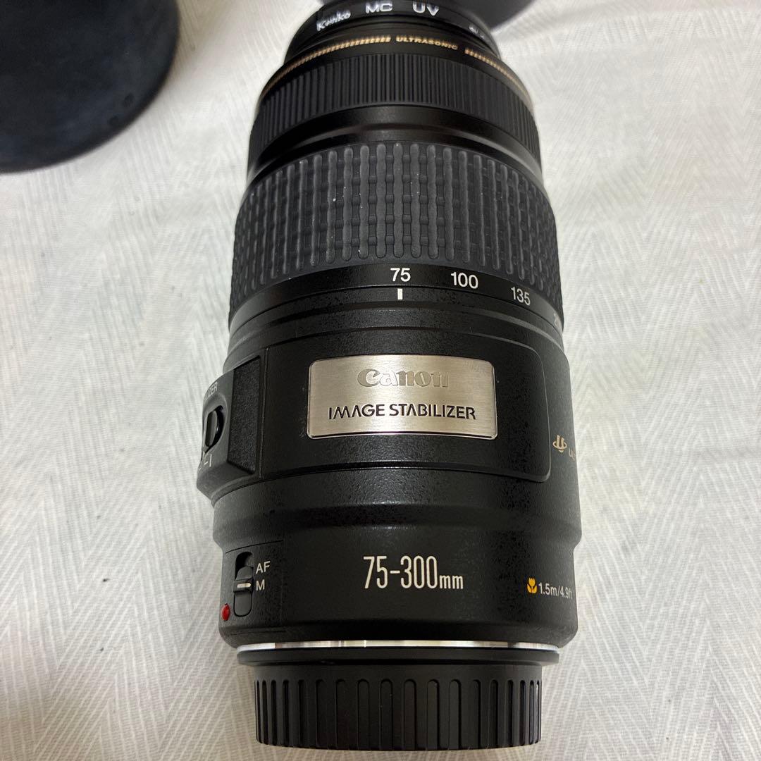 動作確認済みキャノン Canon EF 75-300 F4-5.6 IS USM Canon EF 75-300mm f/4-5.6 IS USM Lens Review