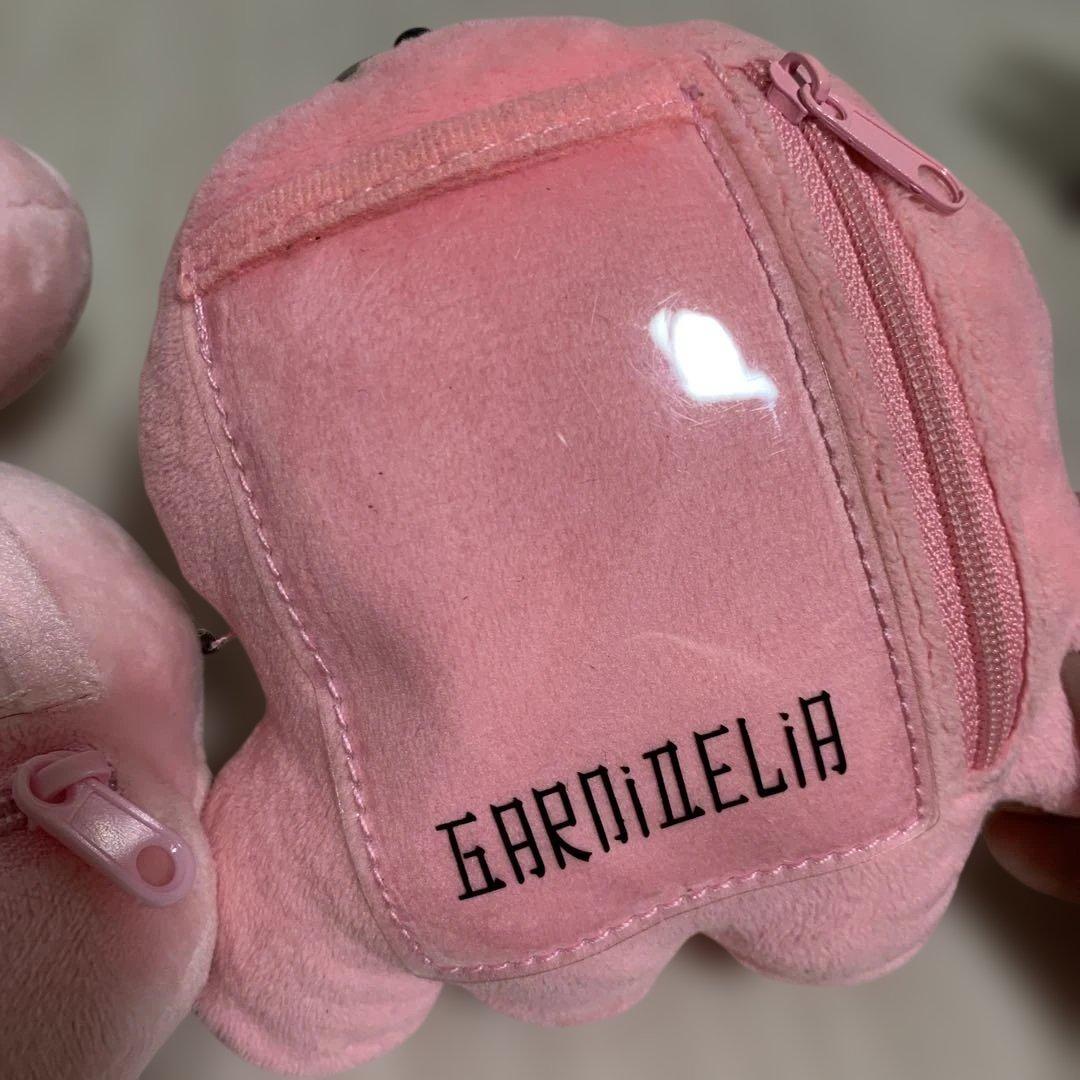 GARNiDELiA カミサマ ポーチ パスケース 美依礼芽