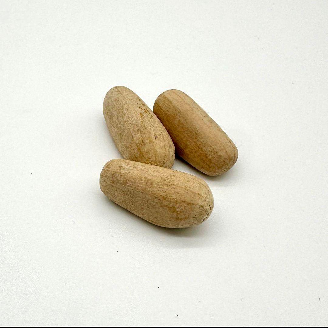 種子1粒 エンセファラルトス ホリダス ドワーフ m16811650408_1.jpg?1761123813