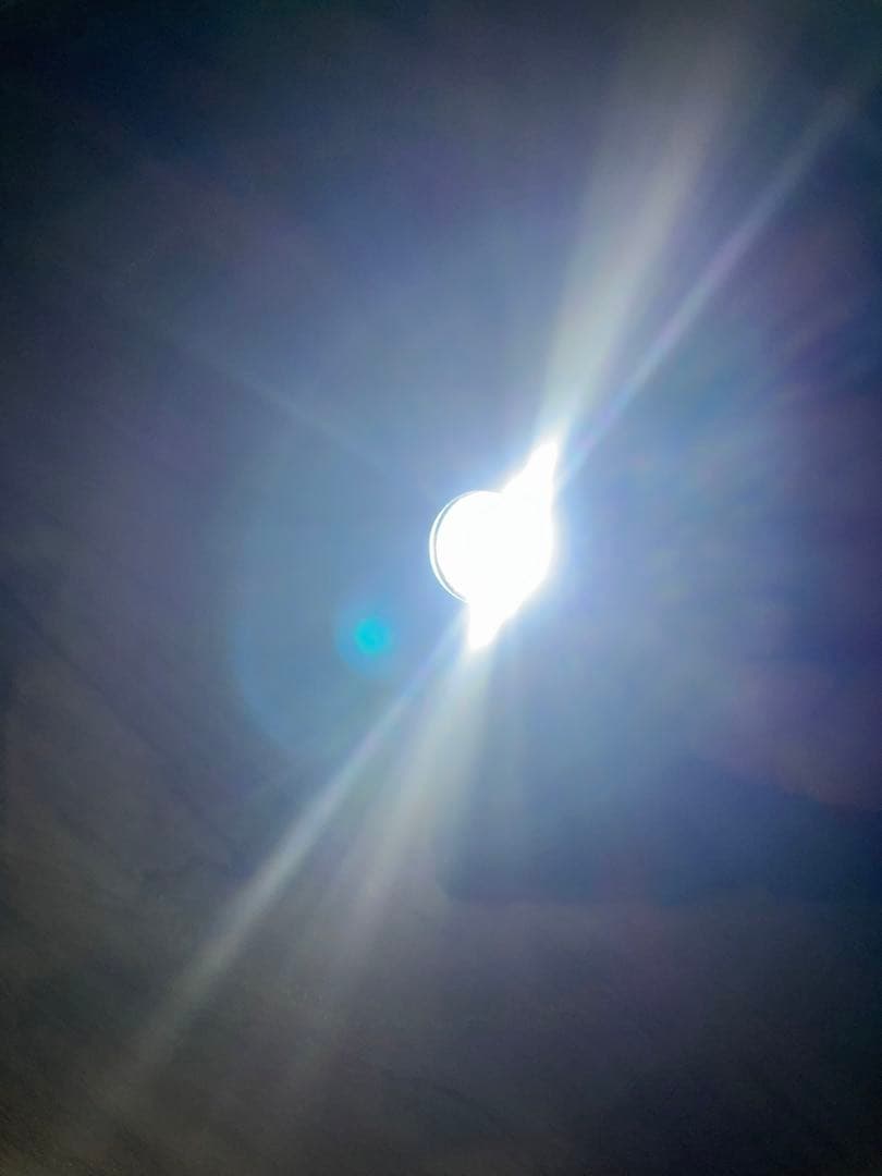 TLR-1 実物 リモートスイッチ用バッテリードア フォースリーコン usmc