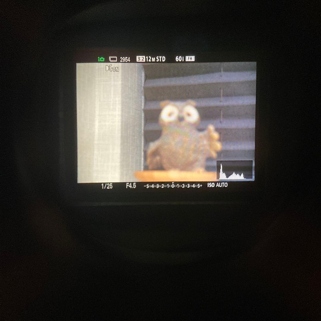 SONY Eマウント 55-210mm F4.5-6.3 OSS