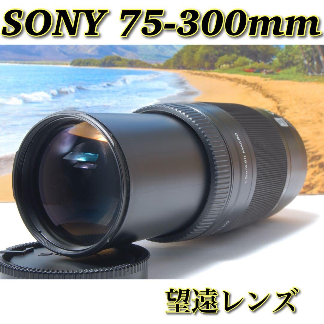 美品 SONY 75-300mm 初心者OK 望遠ズームレンズ 運動会に 動作◎ Amazon.co.jp: SONY 望遠ズームレンズ 75-300mm F4.5-5.6 フルサイズ