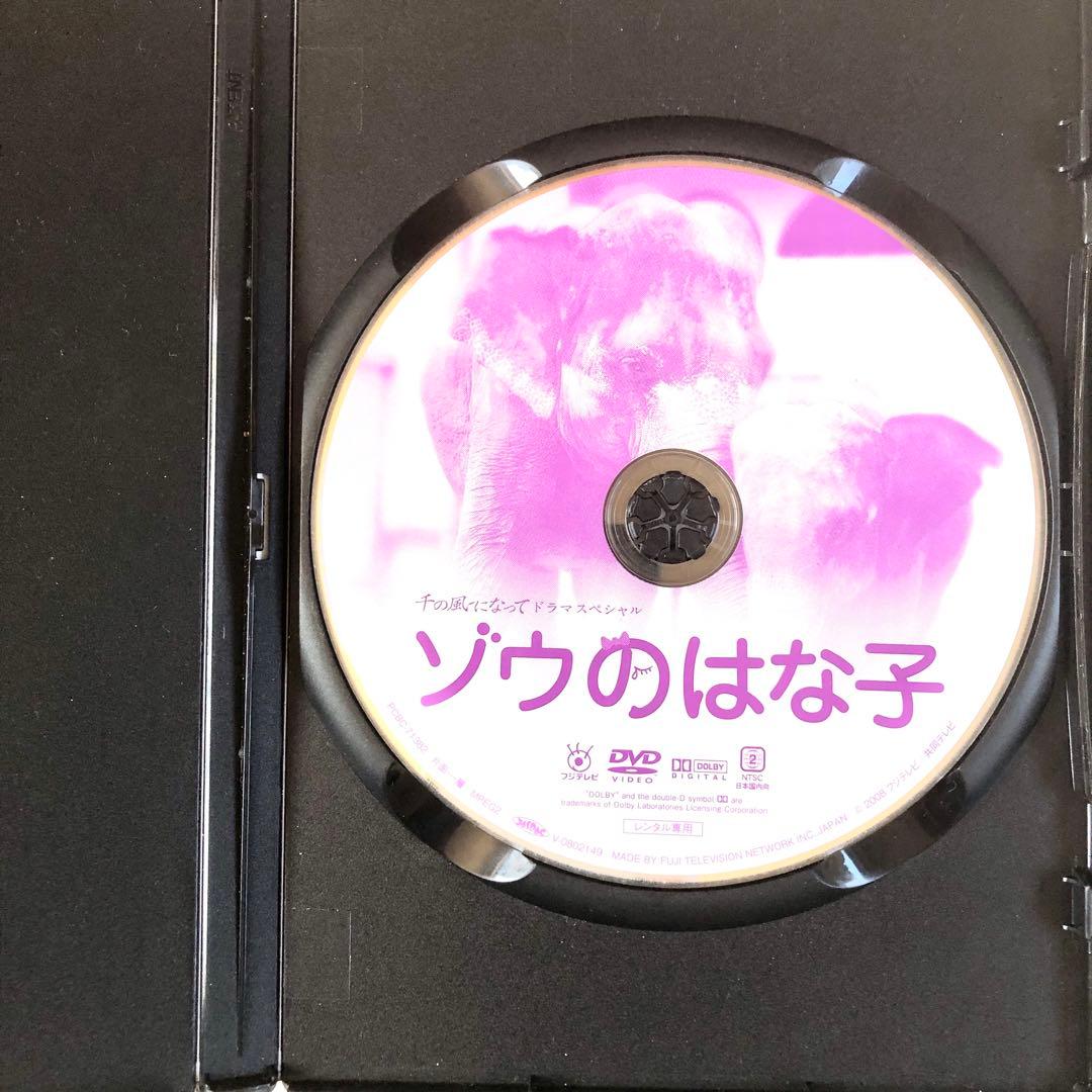 千の風になってドラマスペシャル 「ゾウのはな子」 DVDレンタル落ち