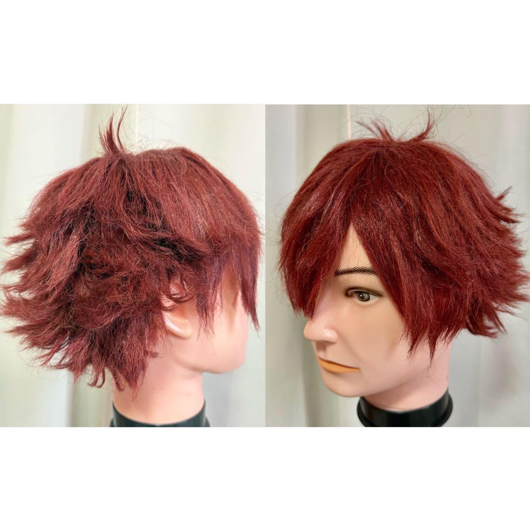 エース トラッポラ ツイステ ウィッグ 3/8まで値下げ - メルカリ